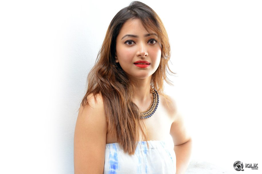 Shweta-Basu-Prasad-at-Intelligent-Idiots-Movie-Press-Meet